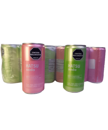 Caja de Soda Surtida 269ml x 24 unds Hatsu